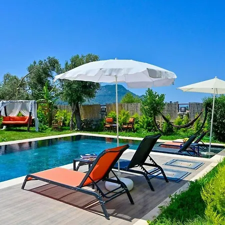 Karya Luxury - With Private Pool For 6 People In Hisaroenue Vilă