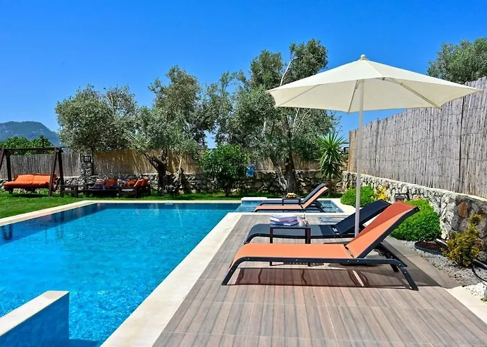 Villa Karya Luxury - With Private Pool For 6 People In Hisaroenue *